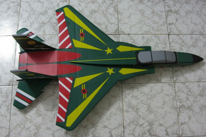 F15 RC Plane