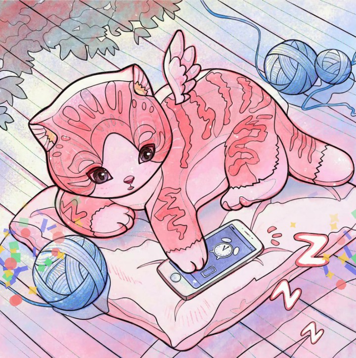 a cute cat un gato monisimo