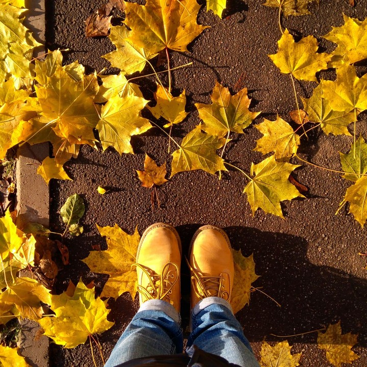 Autumn
