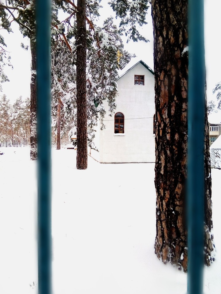 House in a winter forest