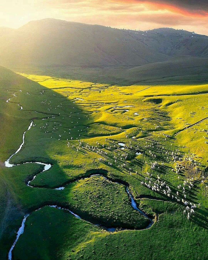 Salyan. Kür çayı.
