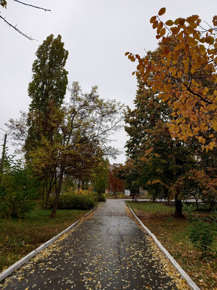 Autumn atmosphere.