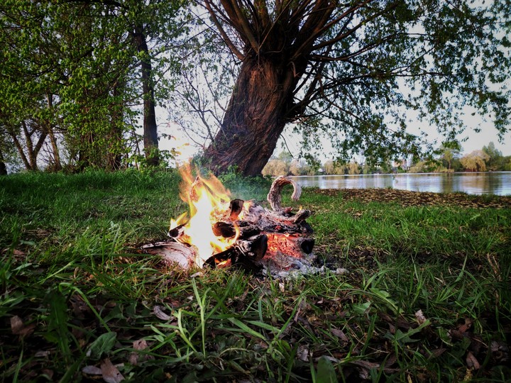 fire ? swan