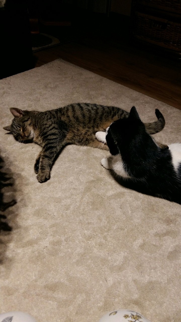best friends