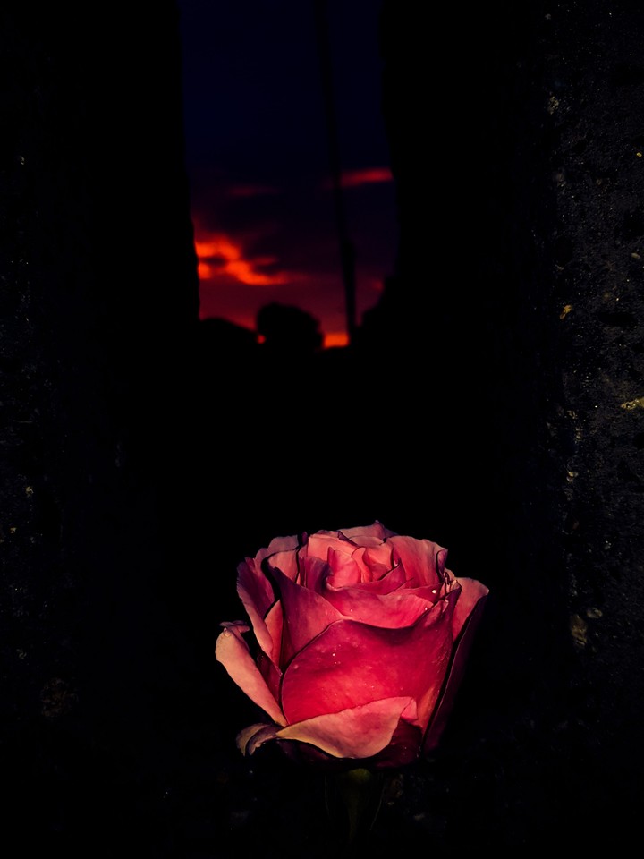 Beautiful sunset