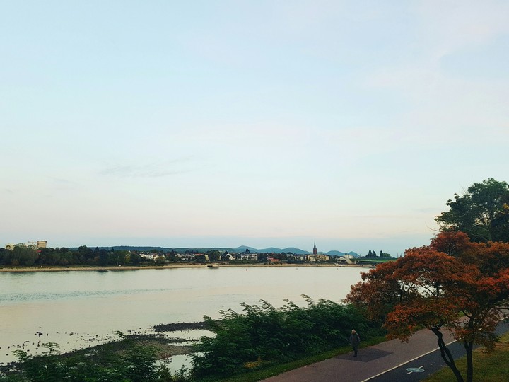 By the Rhine