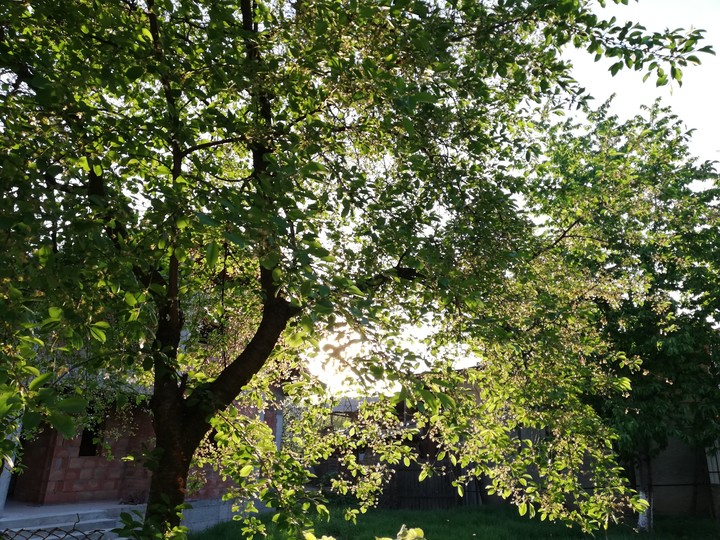 Spring sunset