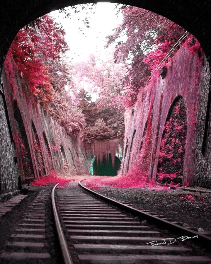Abandoned train station in Paris