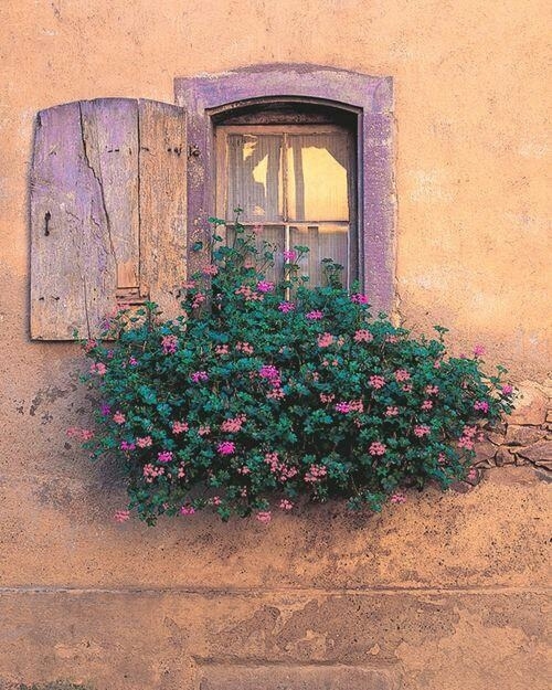 Shabby window