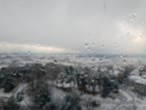 snow(눈)