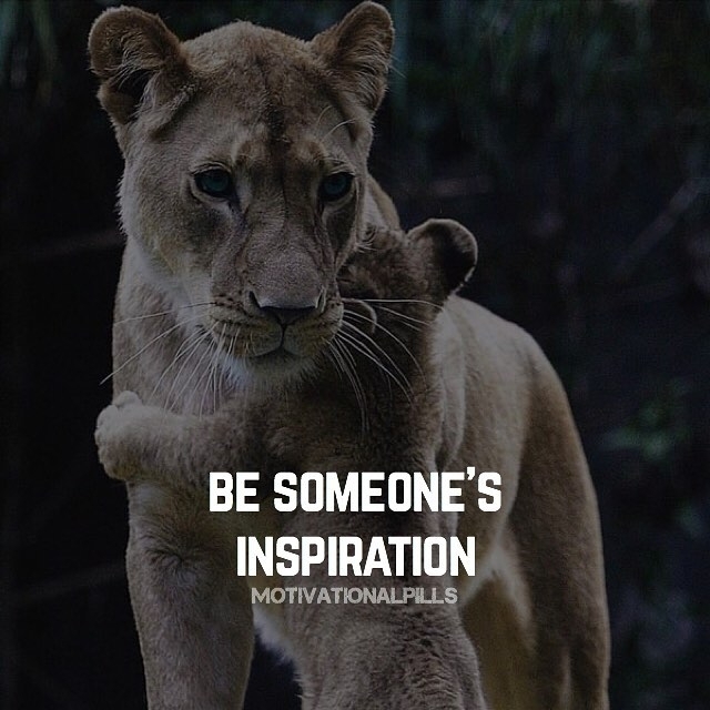inspiration