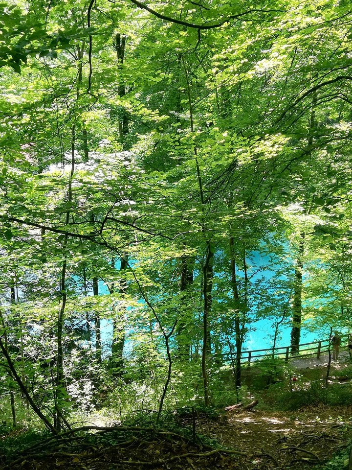 Nature love 