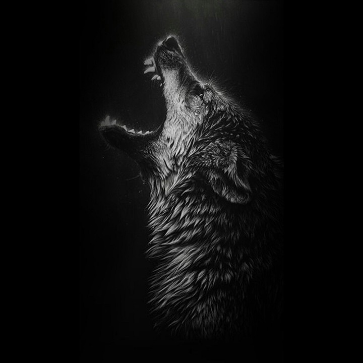 wolf