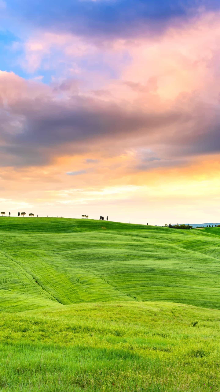 Nature