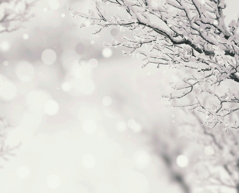 snow