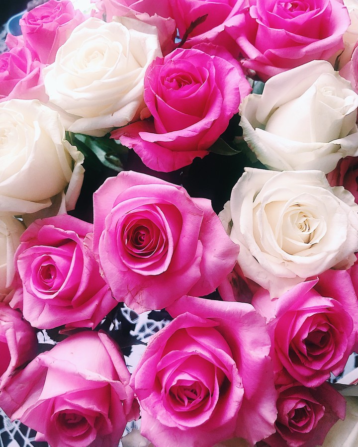 roses ?