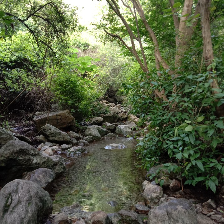 beautiful water spring