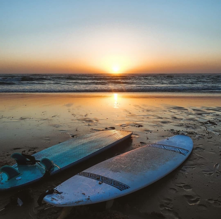 Surf