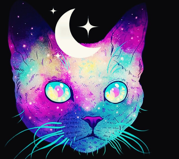Cat.100