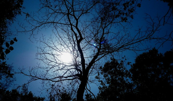 moon or sun?