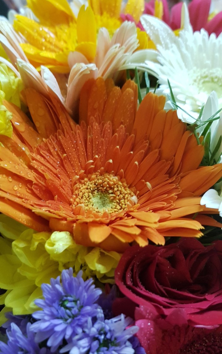 flowers