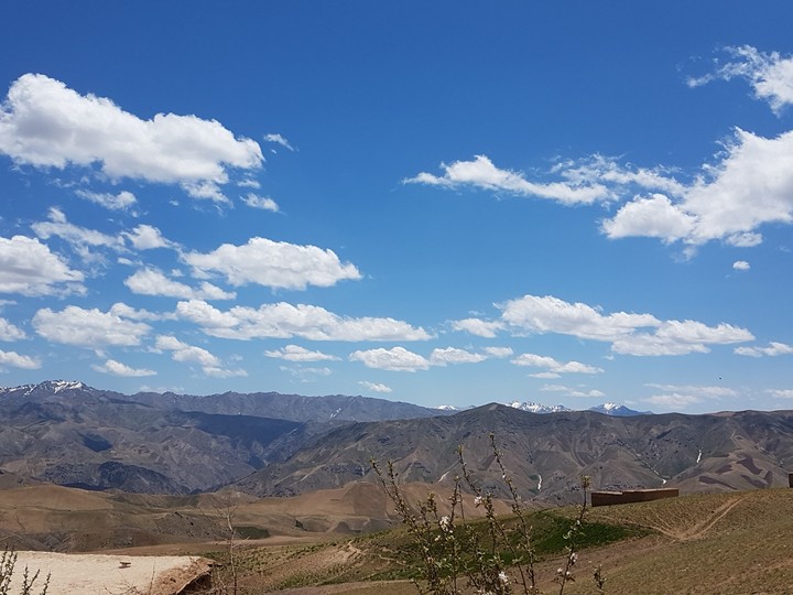 Afghanistan_Daikondy