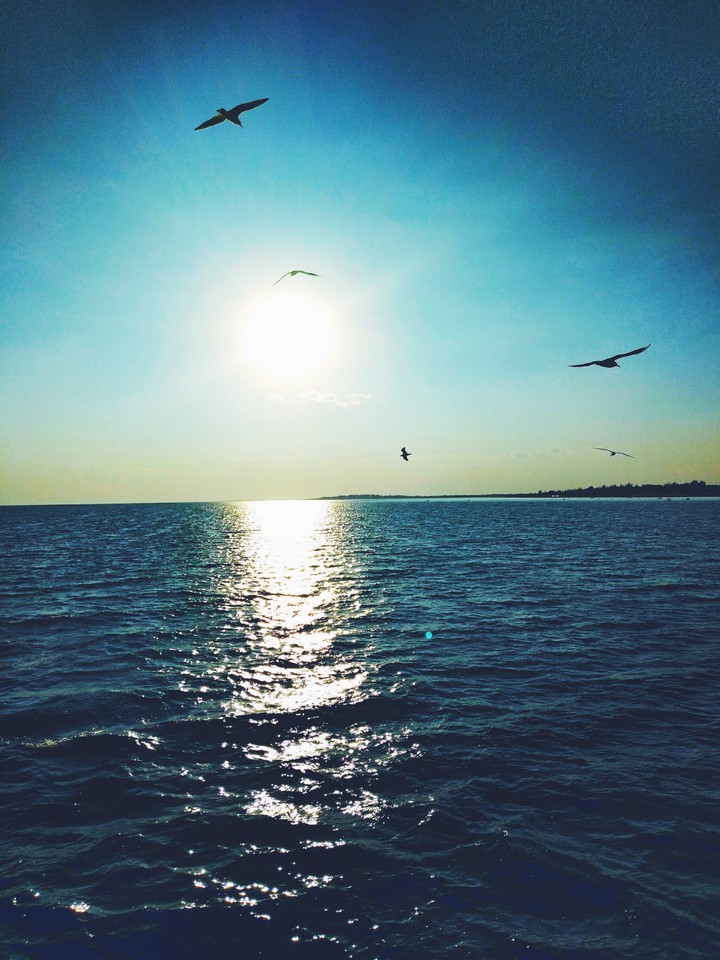Black sea~