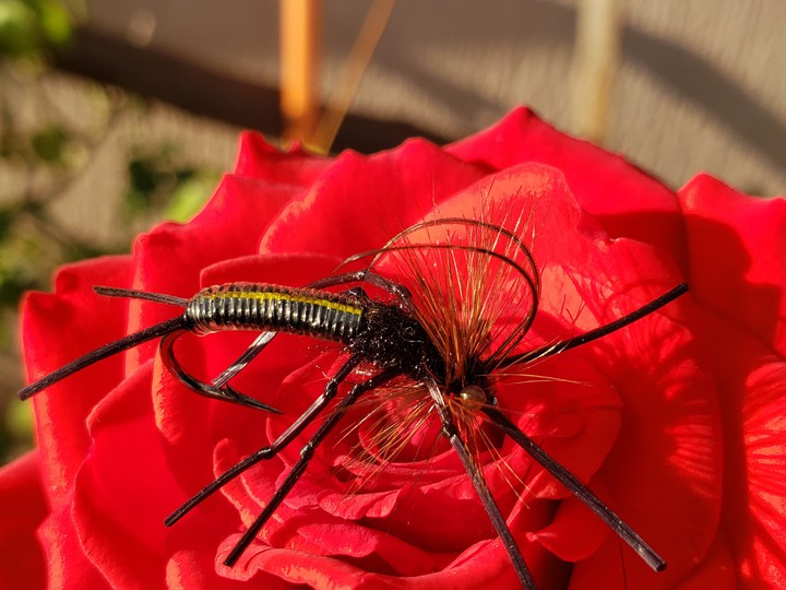 Mosca