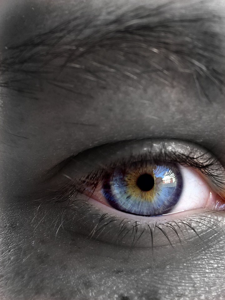 Eyes