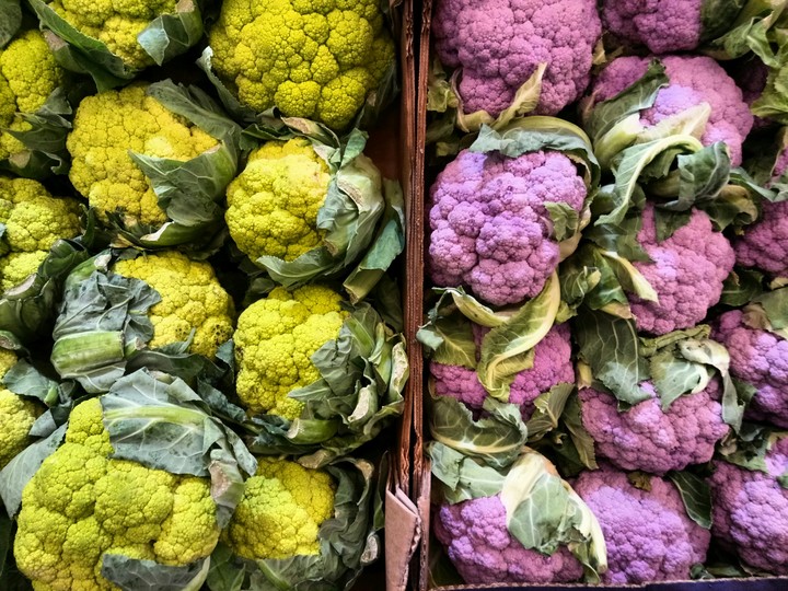 cabbage
