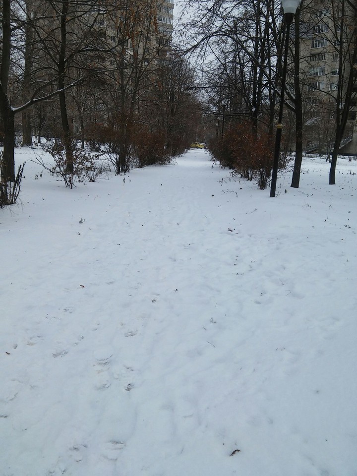 Зима