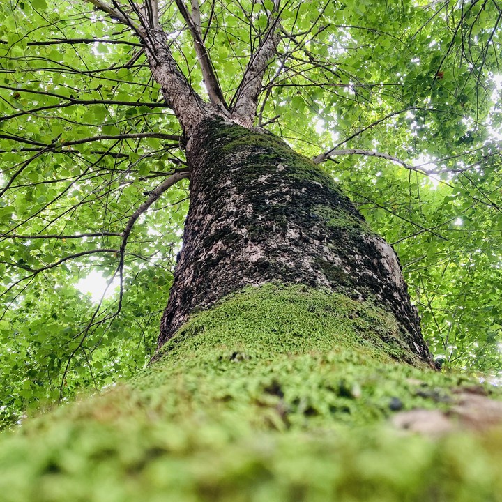 Beautiful nature