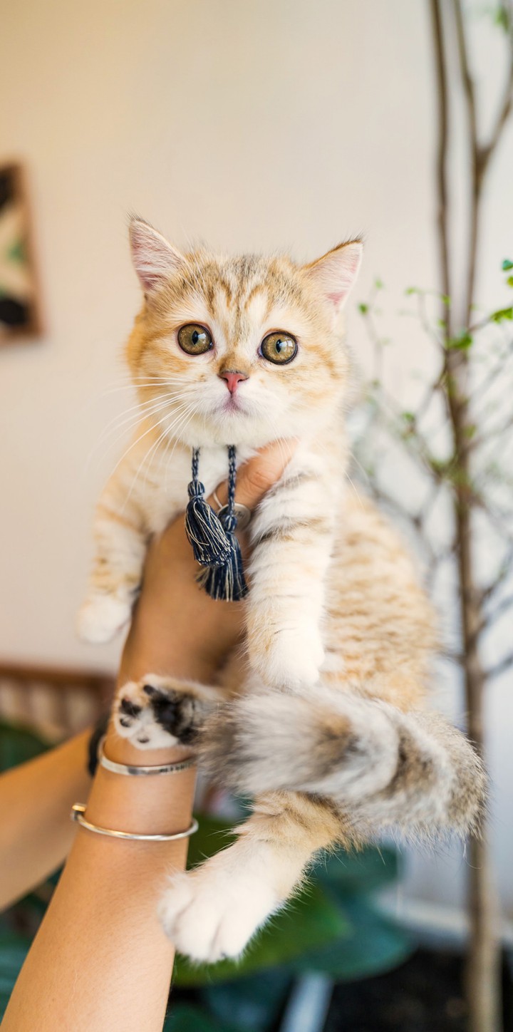 ♥