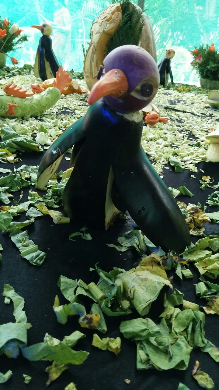 vegetable penguin