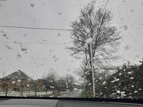 snow time