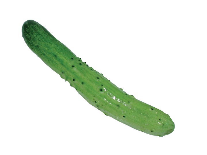 음식이미지