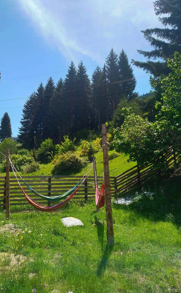 mountain nature in Georgia
