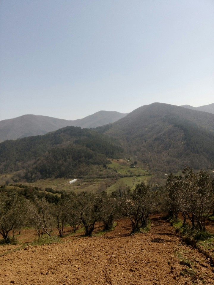doğal güzellik