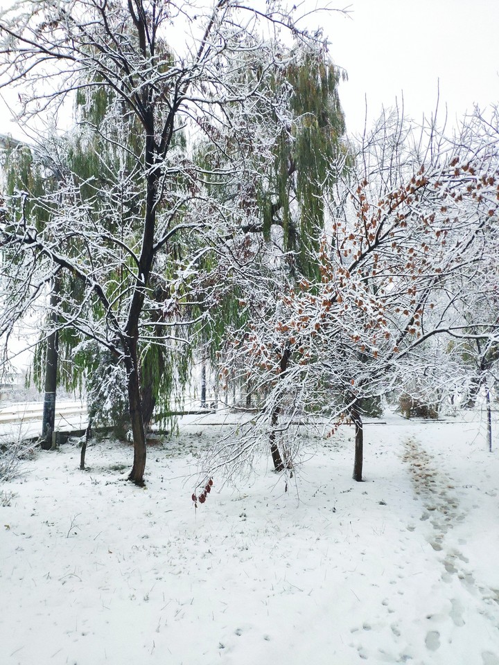 First snow