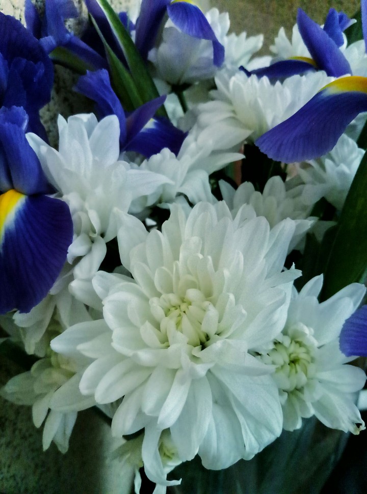 flowers