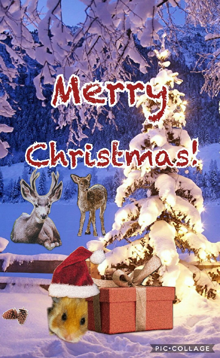 weihnachten