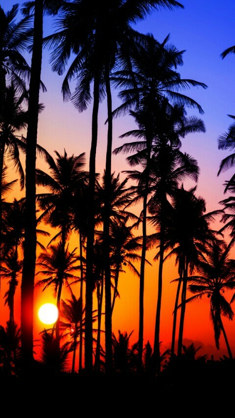 summer