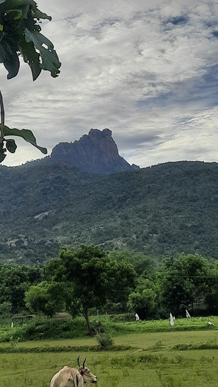 mountain god