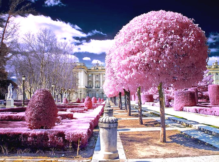 Barcelona garden