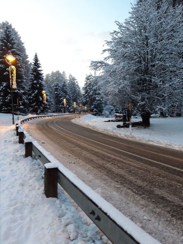 road Trentino