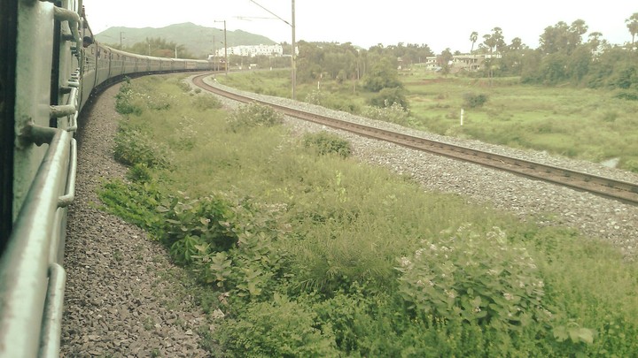 train 