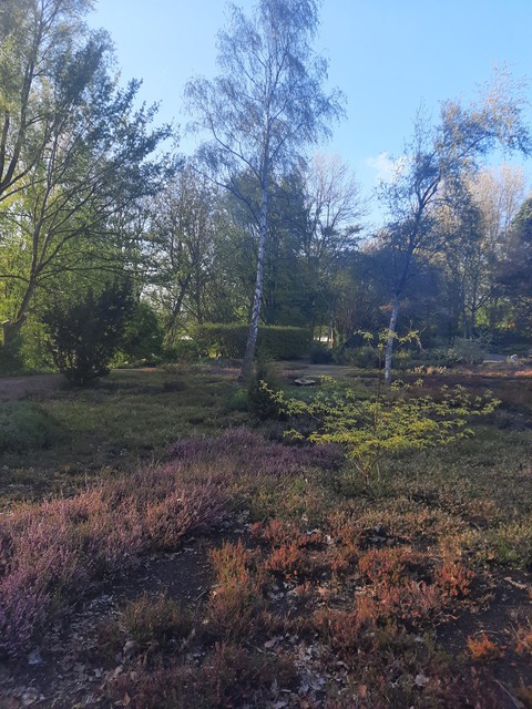 pretty flowers pt3