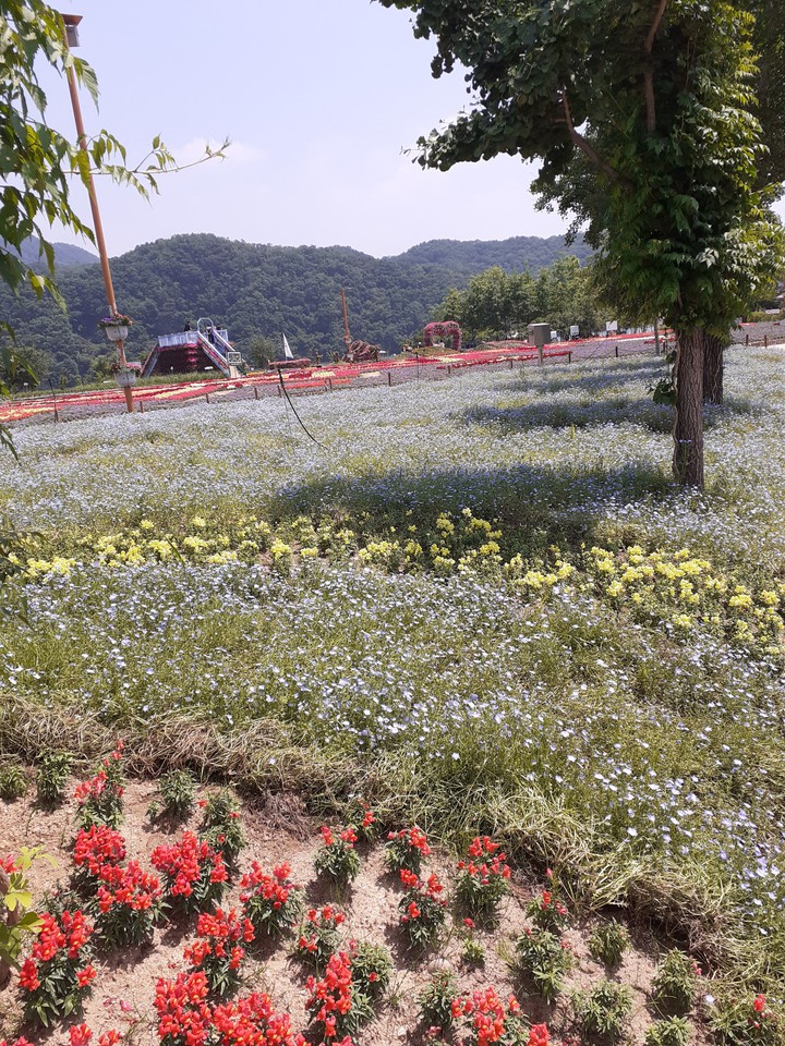 korea