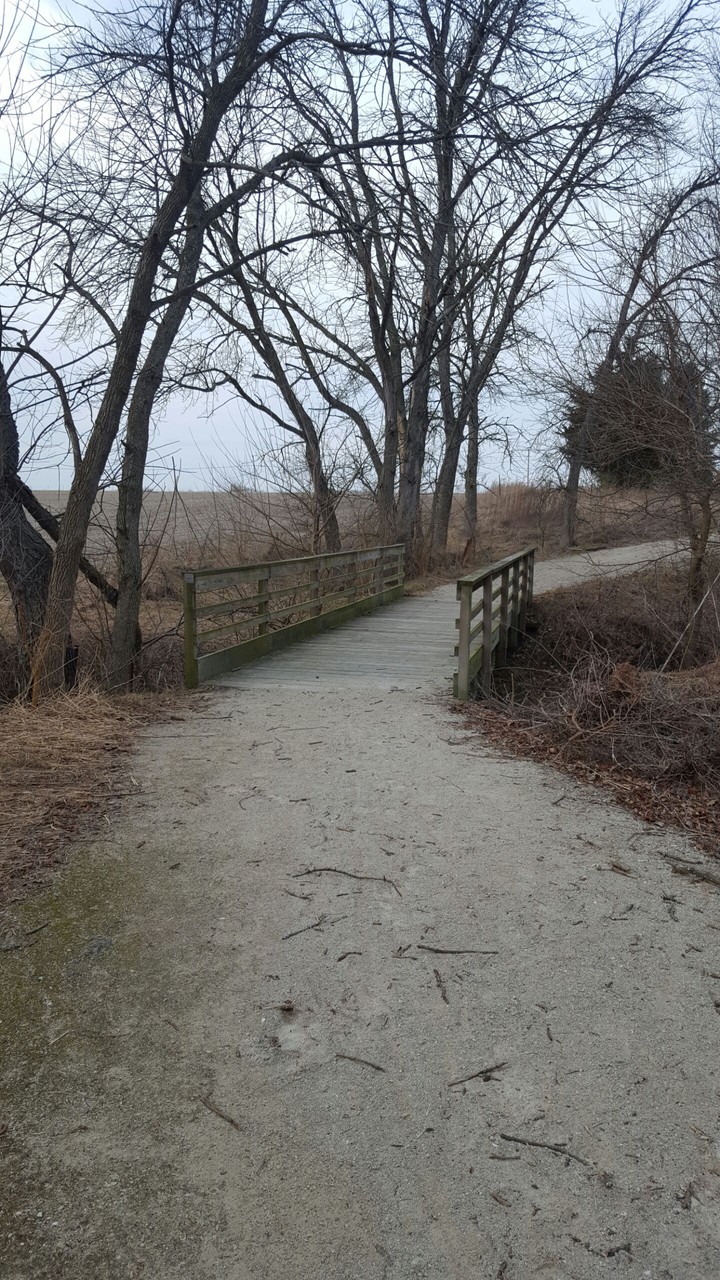 bridge