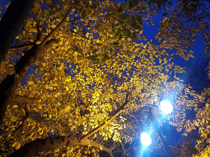 night  view
